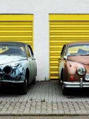 My pets are all amaz